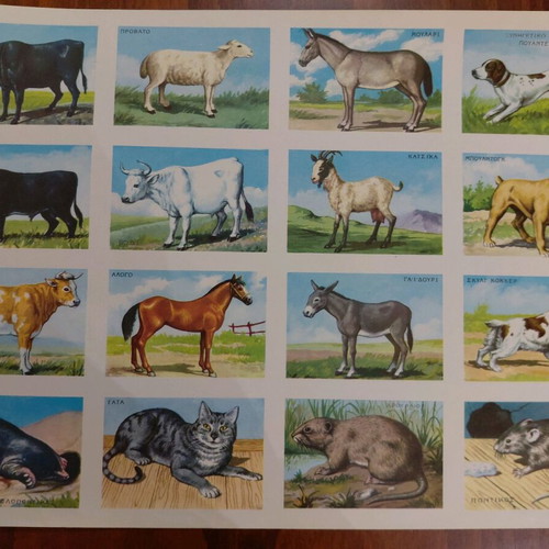 Collectible animal card by REKOU editions, 1960s, new
