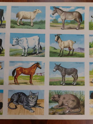 Collectible animal card by REKOU editions, 1960s, new