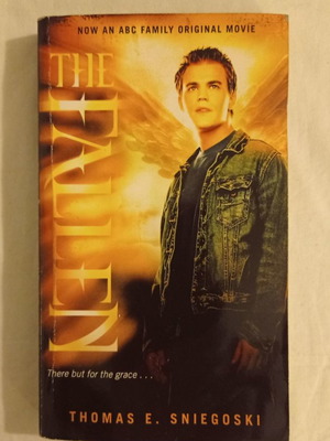 Book Thomas Sniegoski The Fallen like new, English