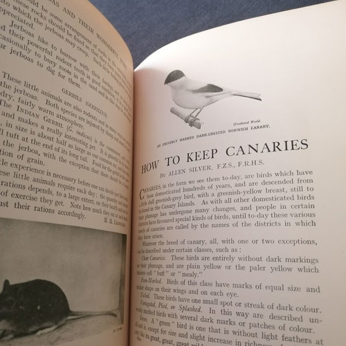 Pets and How to Keep Them book used