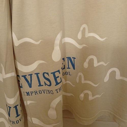 Evisu Evisemen long sleeve T-shirt, beige, size L