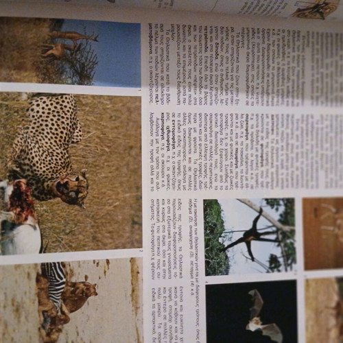 Zoology educational encyclopedia volume 11 like new
