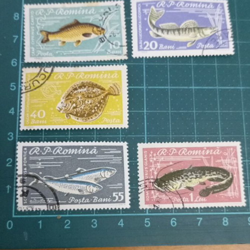 Romania stamps like new, fish theme 1960