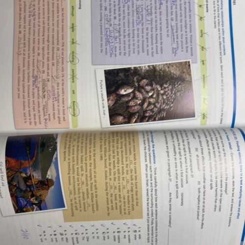 Skills Builder for Michigan Proficiency used, 2 books