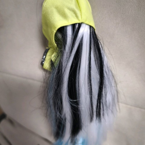 Monster High Doll Frankie Stein like new with accessories