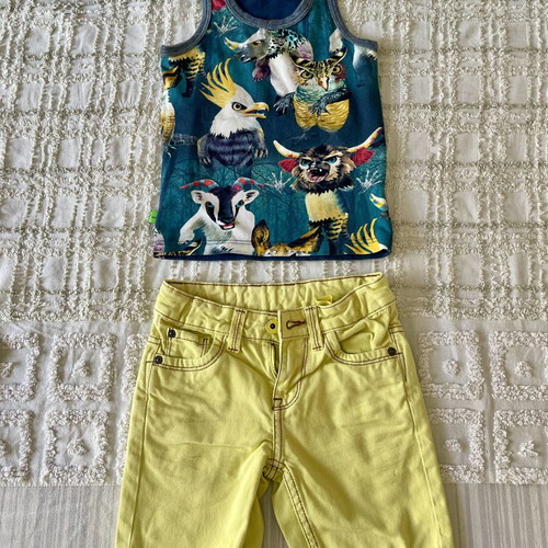 Boy's clothing set 2-3 years like new