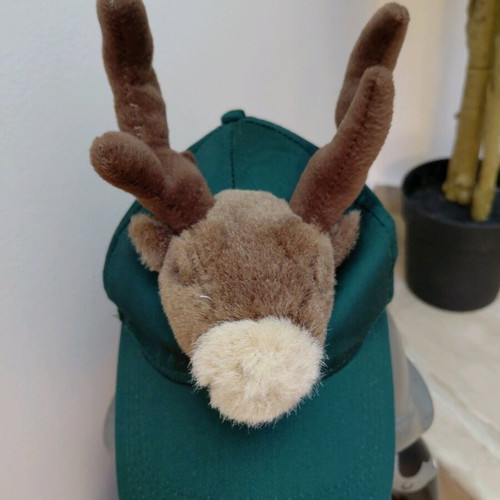 Christmas hat with reindeer