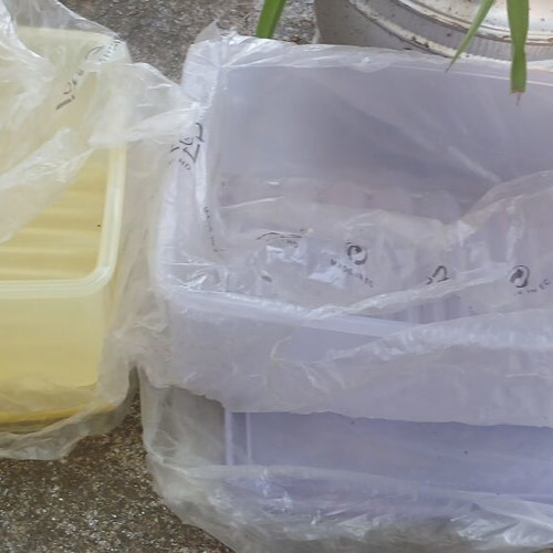 Tupperware set of 2 with eye holes, new