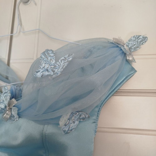 Cinderella carnival costume size 10 like new, blue