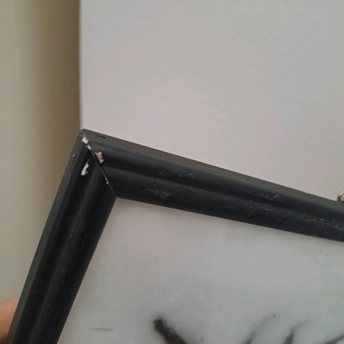 Spider tarantula in black frame with glass 22x22cm like new