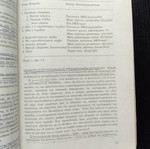 Transportation Design and Traffic Engineering used