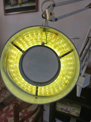 Magnifying Lamp with Arm and LED Light used, professional