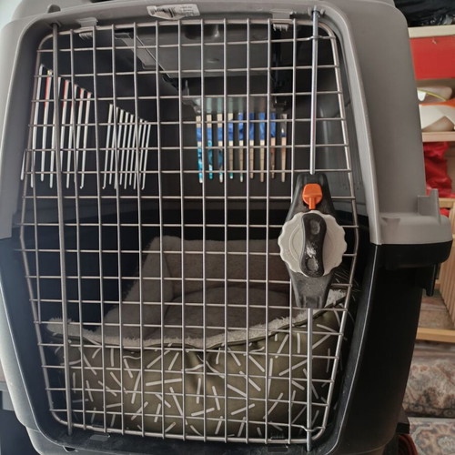Bergamo dog transport crate like new, approved for airplane travel