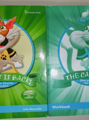 The Cat Is Back One-Year Course Teacher's Books Junior A+B like new