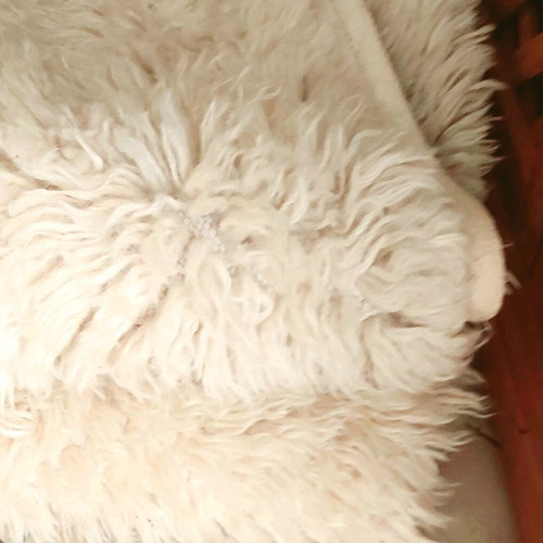 Wool flokati rug like new, set of 2 pieces 1.40×2.00 white