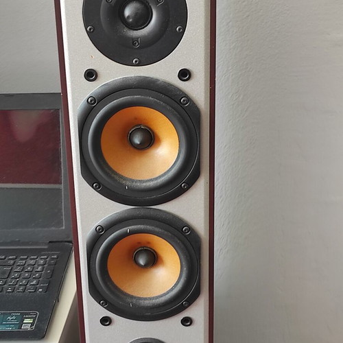 Roister sound floor-standing speakers like new