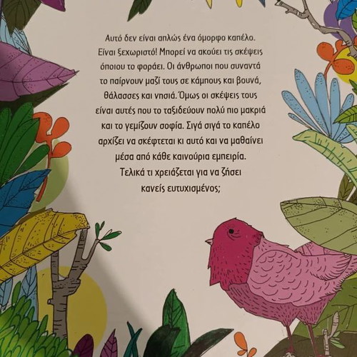 The Hat That Heard People's Thoughts children's book like new