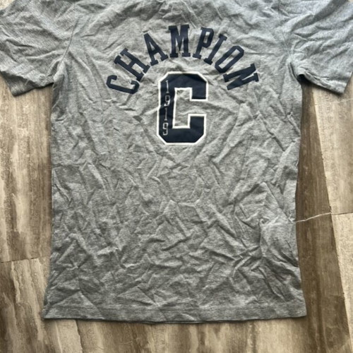 Champion kids T-shirt new, size L, grey