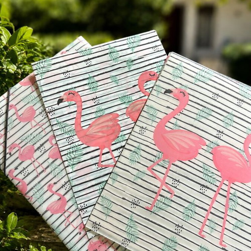 Flamigos Folder Set 3 pcs new