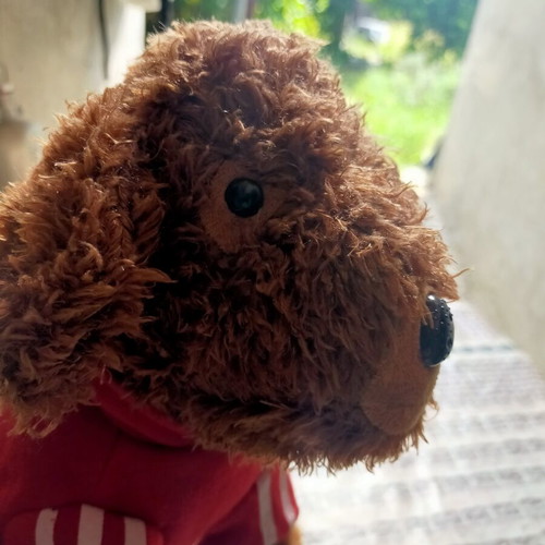 Adidog plush dog toy