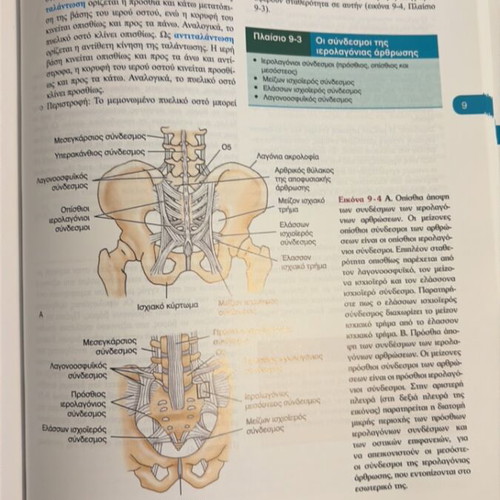 Kinesiology book like new, Greek language