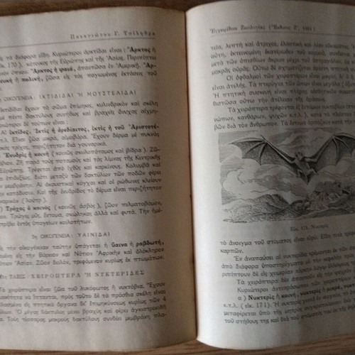 Zoology Handbook used school textbook 1964