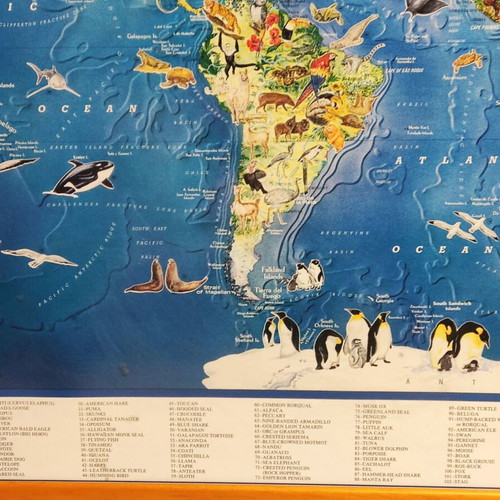 The World of Wild Animals Educational Poster like new, wooden frame