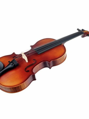 Startone Student II violin 1/2 size with case and bow