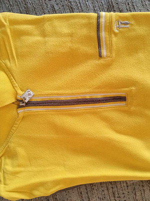 Polo shirts pack of 4 used, Camel Active, Trussardi, Dolce Gabbana, Calvin Klein