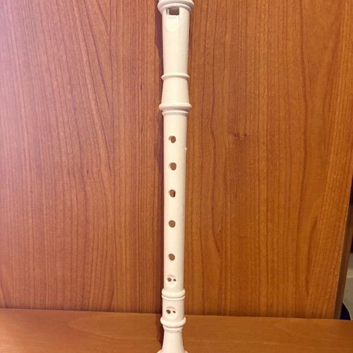 Plastic Recorder New