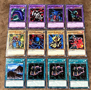 Yu-Gi-Oh! Common Cards Bundle