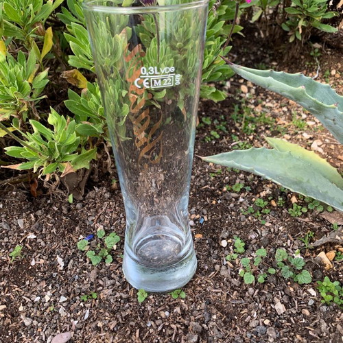 Kaiser 0.3L 12-pack glasses with gold letters new