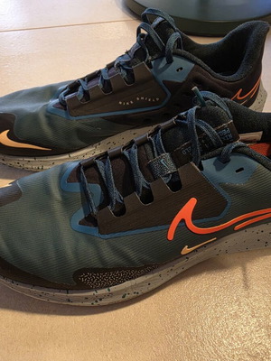 Nike Air Zoom Pegasus 39 Shield size 46 used, Deep Jungle color