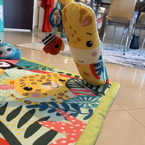 Fisher Price Tropical Forest 3-in-1 Baby Gym