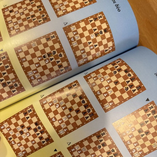 O Zatrikis in the Chess Forest used student book B'