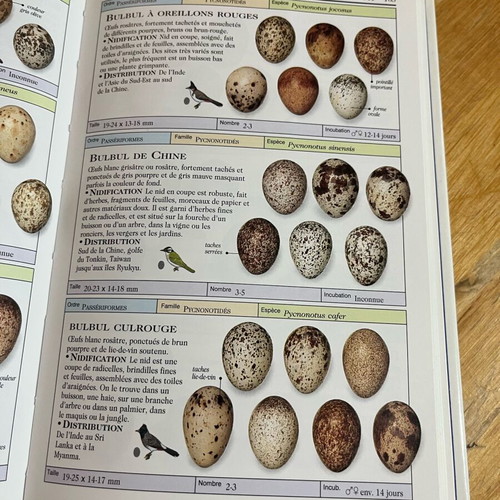 Les œufs d’oiseaux book like new, French bird egg guide