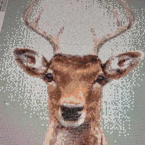 Diamond painting new handmade canvas with rhinestones