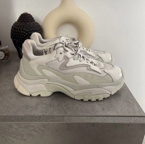 ash sneakers