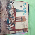 Vinyl record used