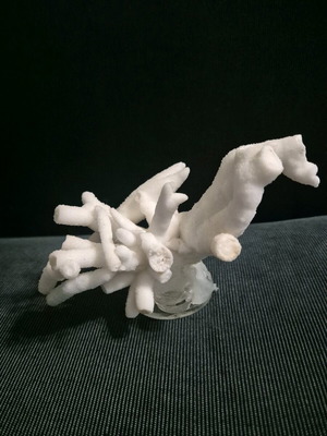 Αραγωνίτης σαν καινούργιος σε βάση