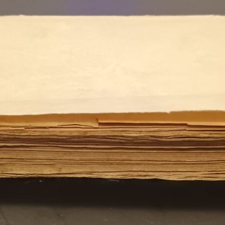 Tameion Anthologias Volume B 1869 used Byzantine music book