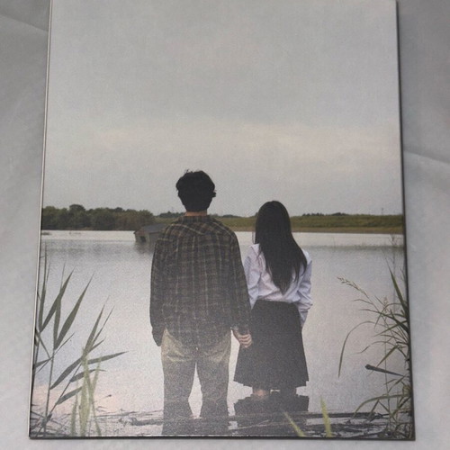 Himizu Blu-ray like new with English subtitles