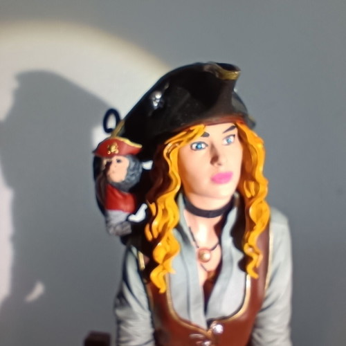 Pirate Girl 3D Printed Statue like new with Monkey Companion