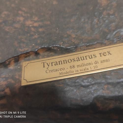 Tyrannosaurus Rex used decorative model, scale 1:10