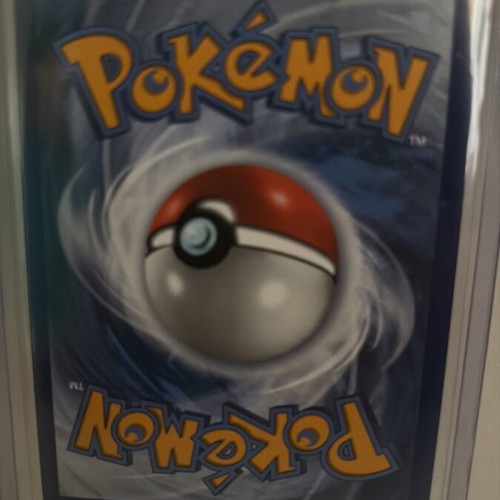 Canari Trainer Full Art Pokémon Ascended Heroes card new