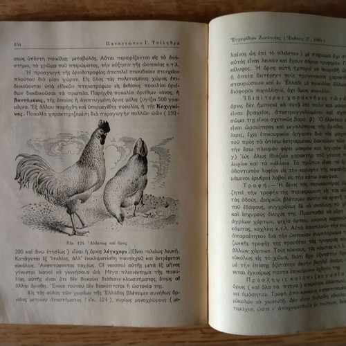 Zoology Handbook used school textbook 1964