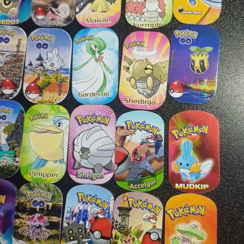 101 Metal Pokemon Tags