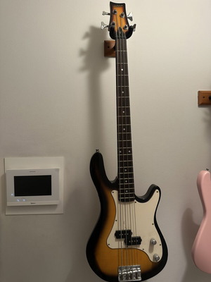 Ashton bass and amp used with case