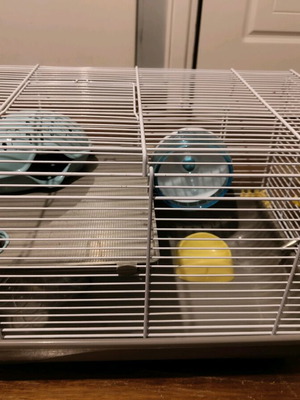 Hamster cage new with double level and accessories