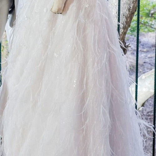 Wedding dress handmade used with embroidery, veil and feathers